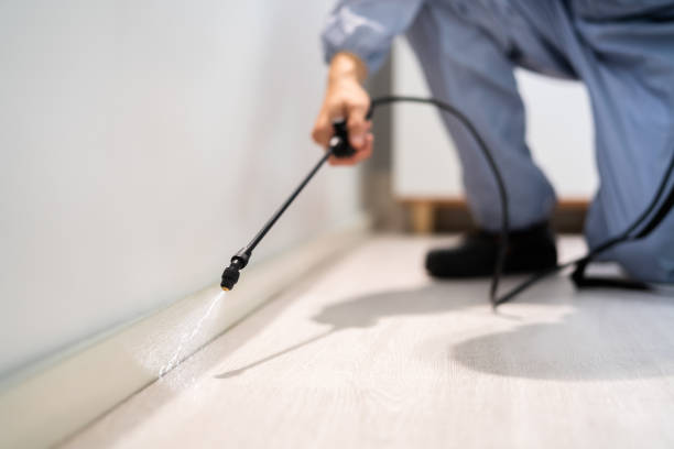 Licensed Pest Control service in Carol Stream, IL - Nex Pest Control