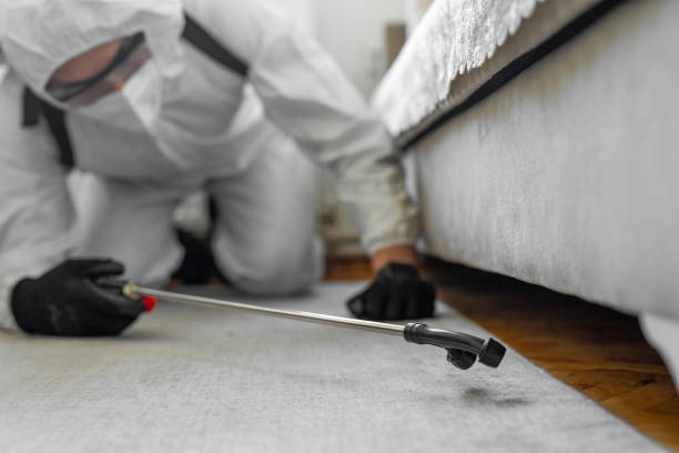 Professional Pest Control technician working in Carol Stream, IL