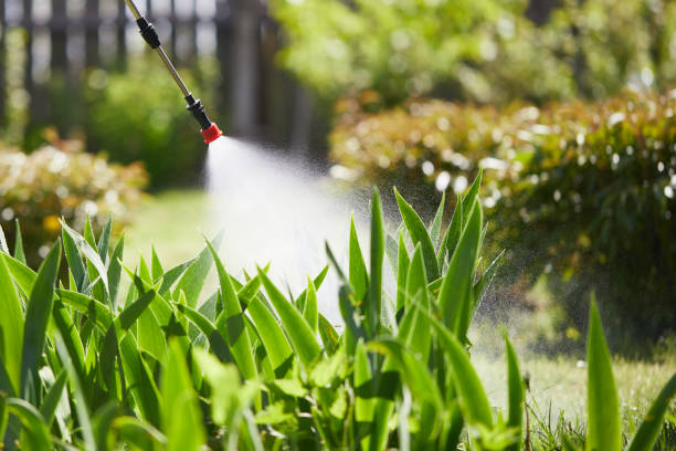 24/7 Emergency Rodent Control experts in Carol Stream, IL