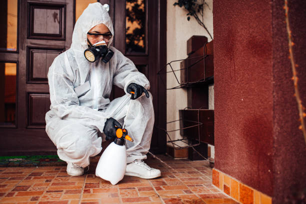 Reliable Rodent Control contractor in Carol Stream, IL by Nex Pest Control