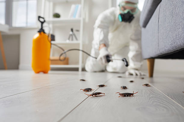 Trusted Termite Control service in Carol Stream, IL - Nex Pest Control