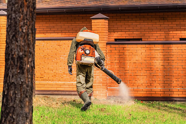 Trusted Mosquito Control service in Carol Stream, IL - Nex Pest Control